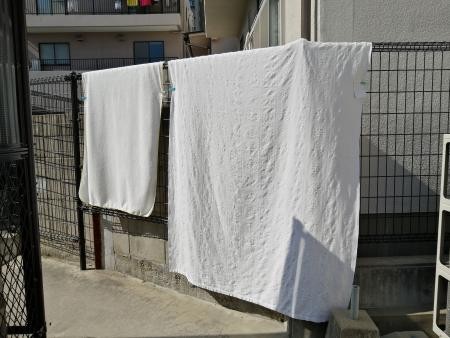 本日も晴天なり！！