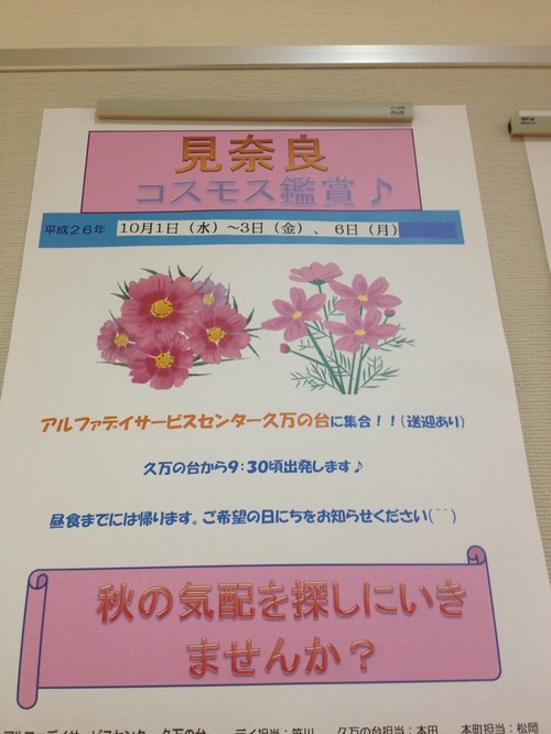 アルファデイ久万の台たより－コスモス見学のお知らせ