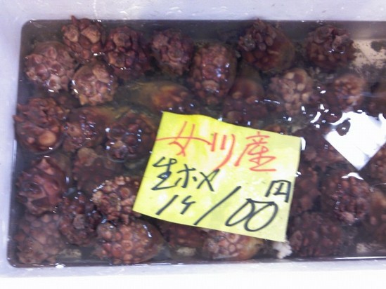 皆さん見たことありますか？