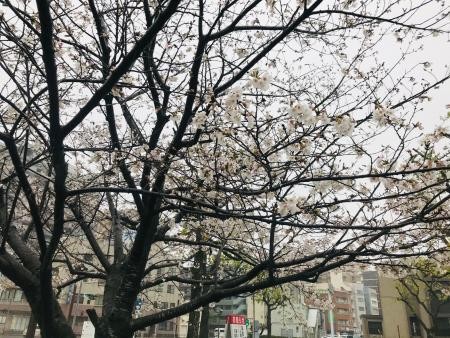 三人そろって・・・♪