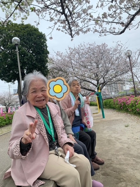 お花見ドライブ　