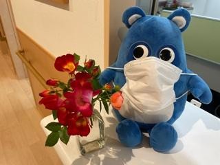 綺麗ですね！！