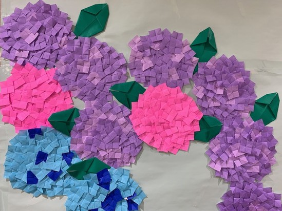 ★紫陽花が咲きました★