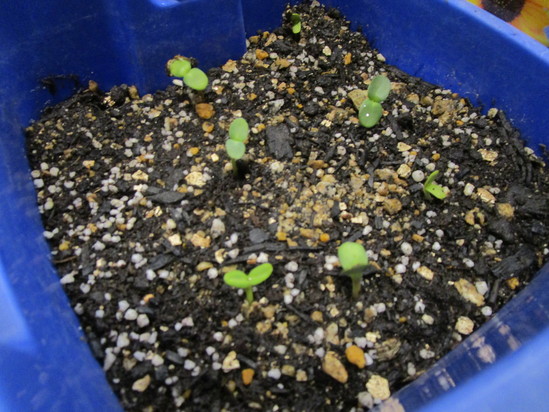 癒されてます(#^^#)