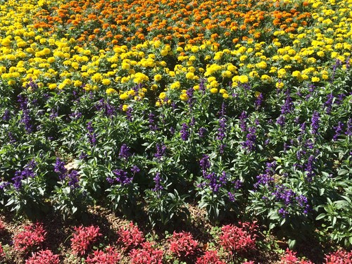 今後ともよろしくお願いします