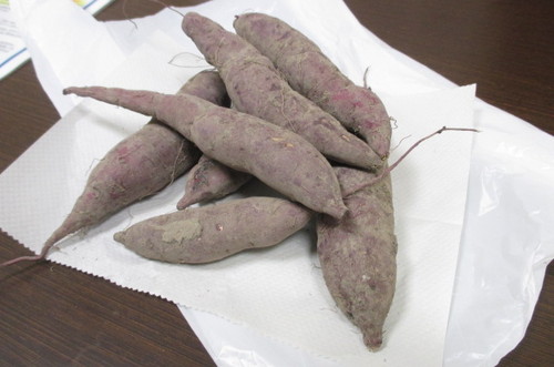 １０月２５日～１０月３１日【献立表】