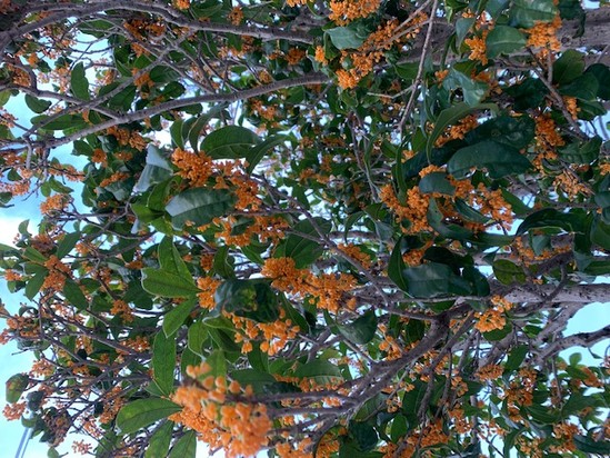 ★HAPPY BIRTHDAY★