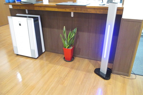 サンスベリア☆