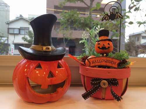 10月31日ケアマネ日記