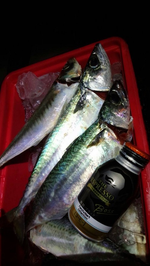 この季節といえば・・・