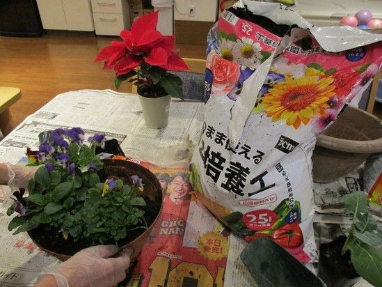 「家庭菜園はじめました～♪」