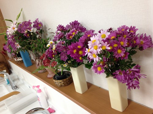 お目覚めに・・・