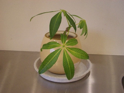 施設探しなら22