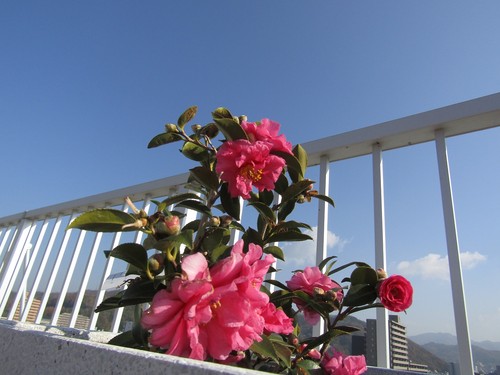 屋上　冬バージョン♡