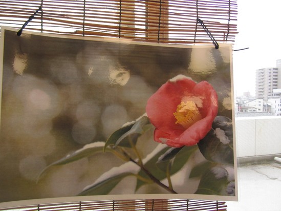 冬のお風呂も気持ち良い！