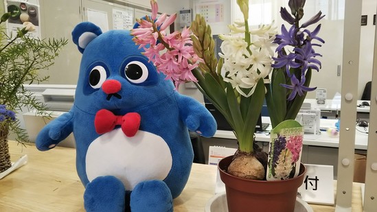 華やかな香り♪