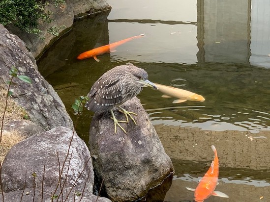 ★１月最終日★