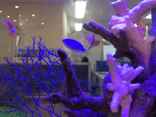 わくわく・ドキドキ