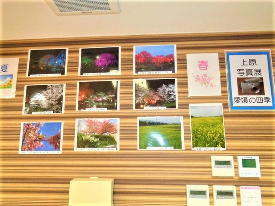 上原写真展