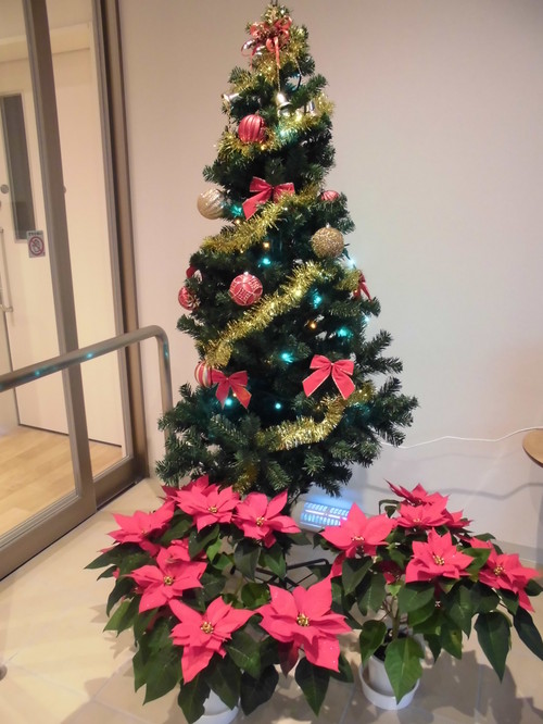 クリスマスツリー