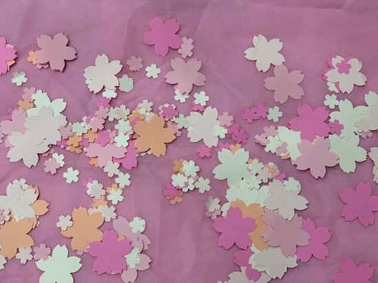 ★桜の行方はいかに！？★