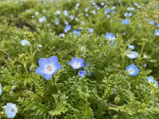 3月のレクリエーション