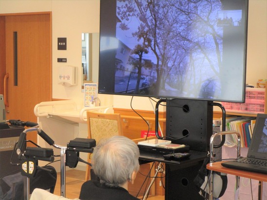 花よりおまんじゅう⁈