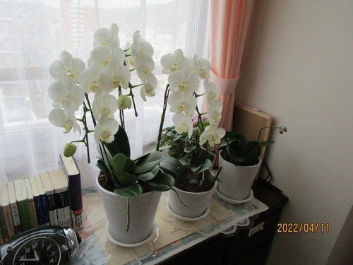 家族様からの大切な贈り物☆