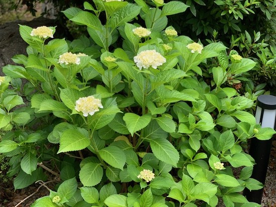 ★６月のスタート！！★