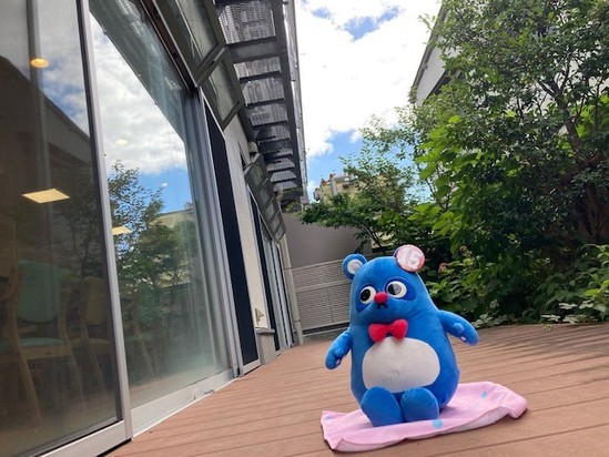 あーなちゃんと畑