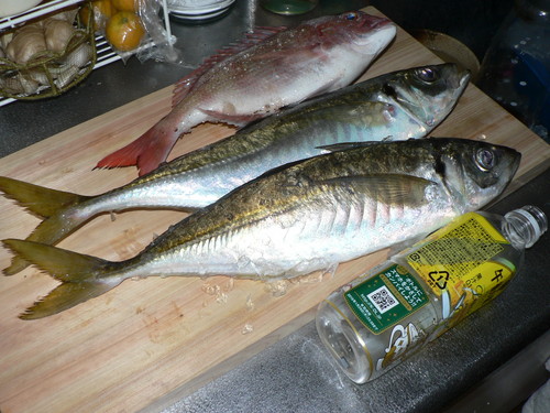 私には聞こえる・・・