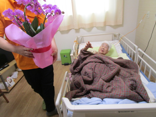 毎年届く胡蝶蘭