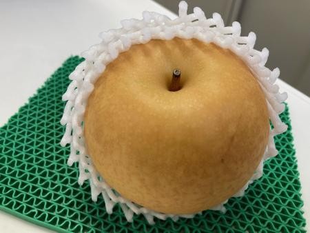 梨！！頂きました！！