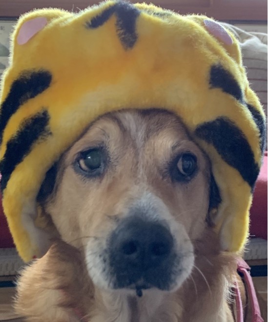 ★１１月のスタート★