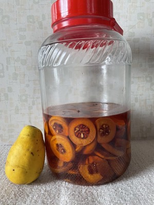 今年も色づきました。