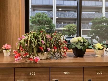 ☆本物はど～れだ？☆