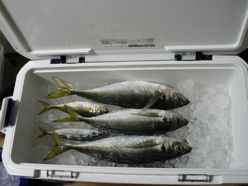 あなたにも聞こえる！？