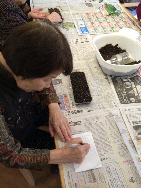 七草を育てた、その先に・・・