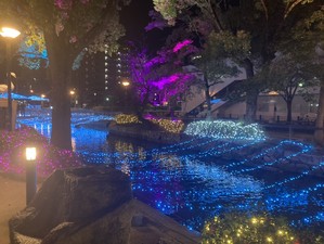 西川緑道公園イルミネーション